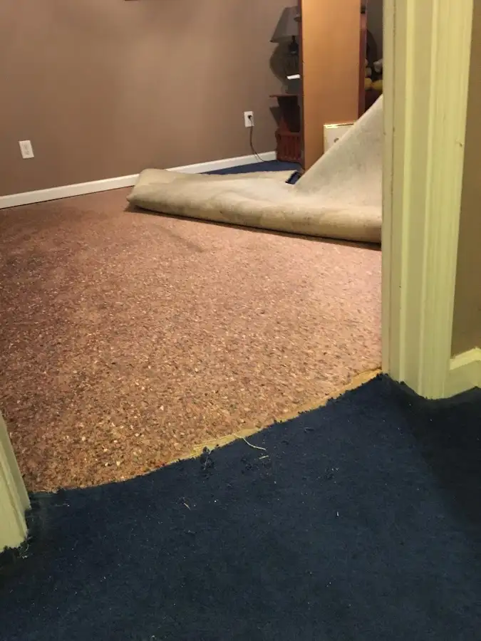 Carpet pad removal revealing water damage during Water Mitigation Services in Suffield